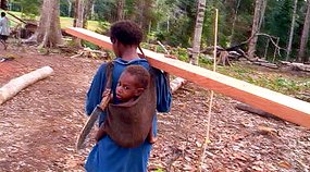 80% de la population salomonaise vivent à l'écart des centres urbains dans des îles et des régions isolées, un problème pour l'enregistrement des naissances. [ABC]