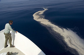 La nappe de pétrole s’approche des côtes indonésiennes. [www.wwf.org.au]